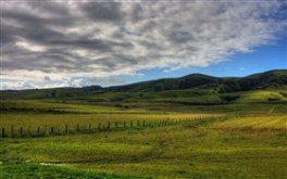 How Green is my  Valley
