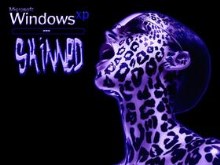 Windows XP Skinned