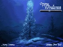 Christmas Windows