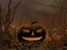 Gnarley Pumpkin Patch