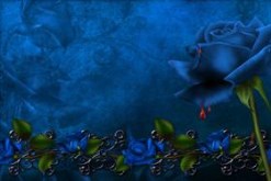 BlueBloodware WS