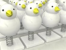 Springchicken