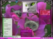 Blooming Cats