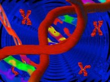 DNA- the Double Helix