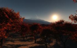 Red sunset