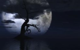 Dark Night Moon