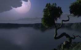 Under the moon