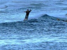 Surfing