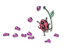 bug