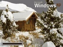 The Cabin