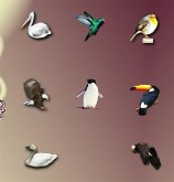 Bird 1