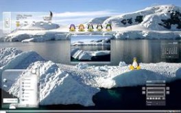 Ice