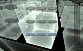 PlexiGlass