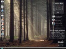 The Forest