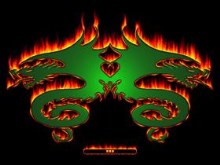 The Guardian Dragons