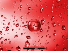 Vista Wet Red LCD Screen v2.0/2.1 Pack