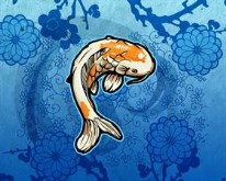 Koi