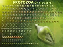 PROTOZOA