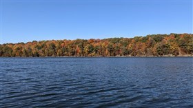 Fall Colors