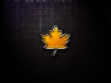 fall
