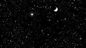 The Star Gazer