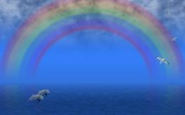 Rainbow at Sea