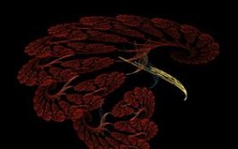 Red Brain