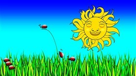 Ladybug Olympics
