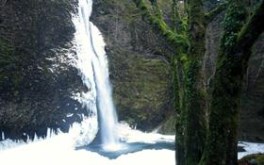 Icy Waterfall
