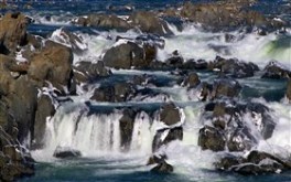 Waterscape