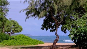 Beautiful_Ocean_View