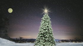 Village_Lights