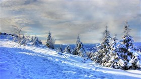 Snowy_Mountain_Coast