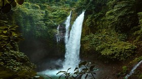 Jungle_Waterfalls
