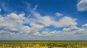 Cloudy_African_Plains_Timelapse