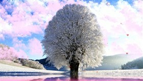 Valentine Snow