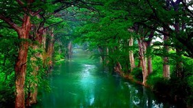 Greenery