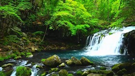 Japan Nature
