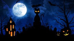 Halloween Scary Cat