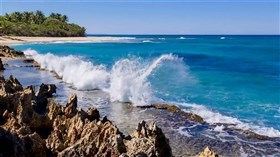 Rocky Shores