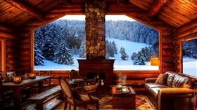 Fireplace View