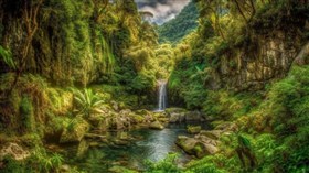 4K Jungle Waterfall Logoon