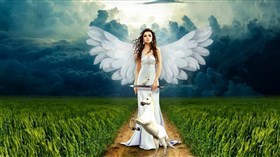 Fantasy Angel 2pk