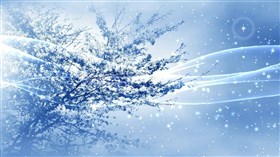 Winter Winds