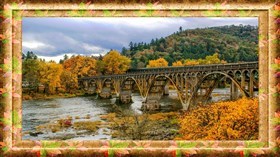 Nature Framed
