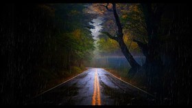 Rainy Road