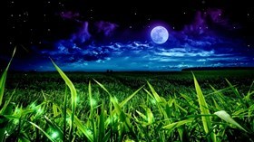 Night Magic