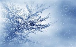 Winter Blues V3 bootskins