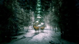 Reindeer