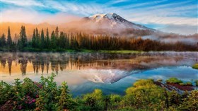 Nature Reflections
